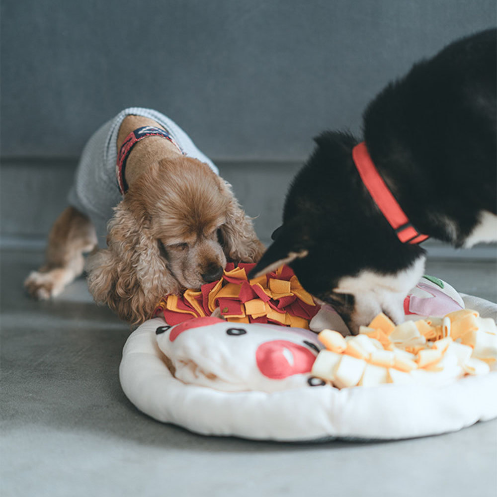 Pizza Snuffle Mat For Dog, The Ultimate Pet Toy! – Ollypet